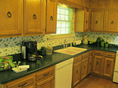 2826 Nile Road Chattanooga, TN 37421 - Photo 12 of 23 New dishwasher 6/2015