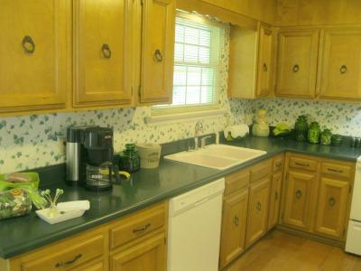 2826 Nile Road Chattanooga, TN 37421 - Photo 18 of 23 Solid surface counter tops