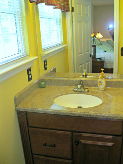2826 Nile Road Chattanooga, TN 37421 - Photo 10 of 23 Updated main bedroom vanity