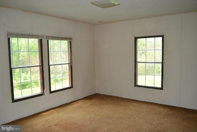 284 Deer Run Road Gore, VA 22637 - Photo 6 of 6 Interior (General)