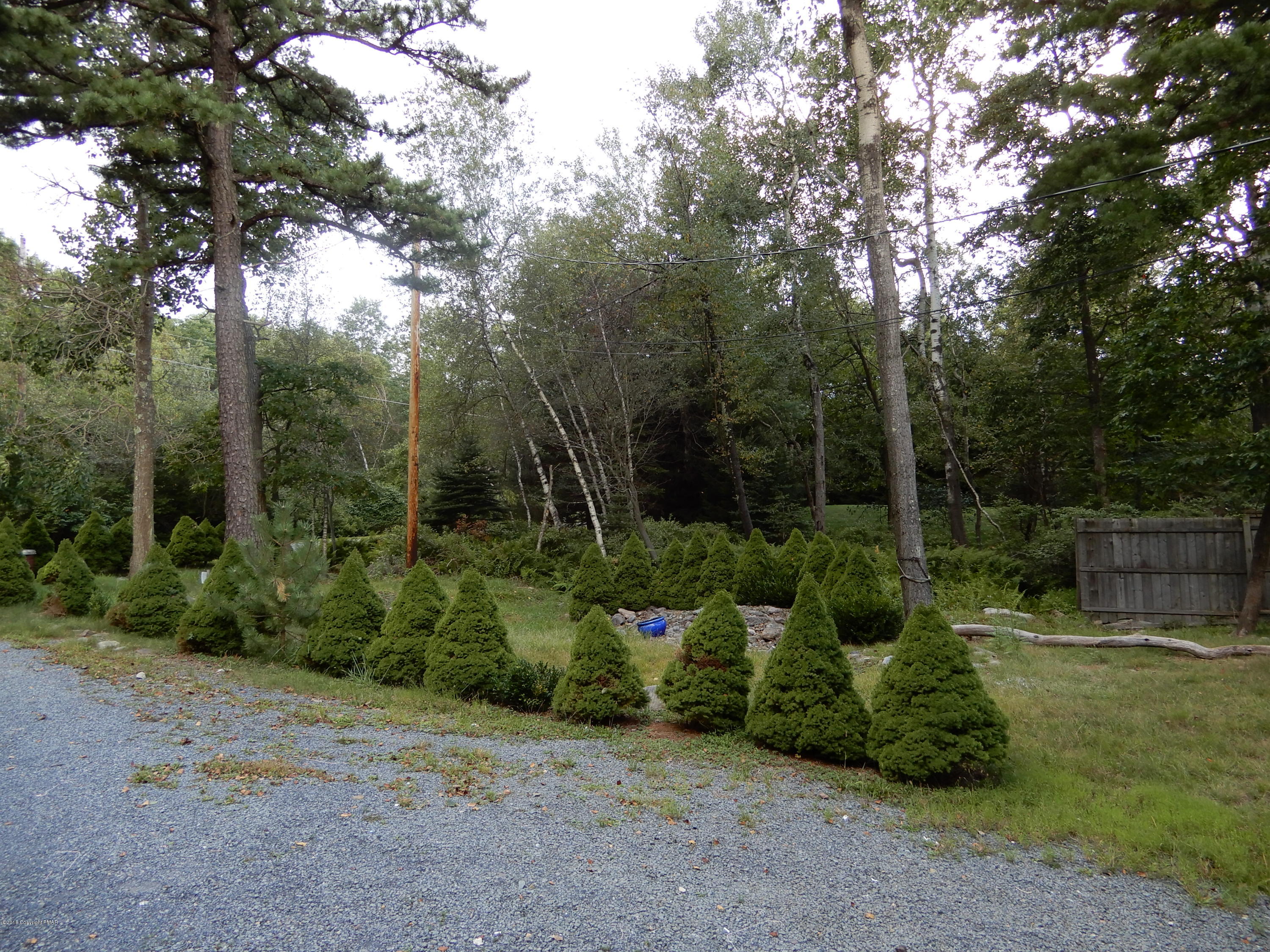 251 Sage Road Long Pond, PA 18334 - Photo 4 of 37 Nicely Landscaped