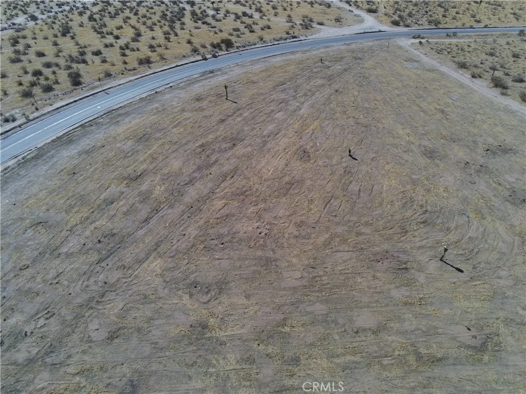 a view of a dry yard with wooden floor