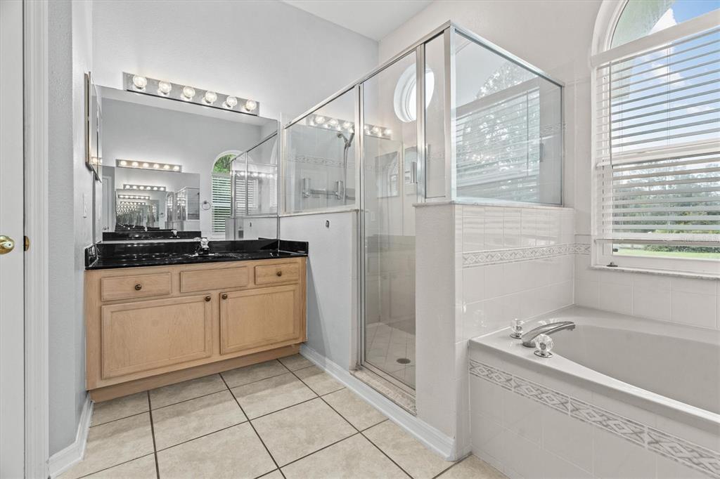 20744 Sheldon Street Orlando, FL 32833 - Photo 24 of 50 a spacious bathroom with a granite countertop sink a mirror and a bathtub