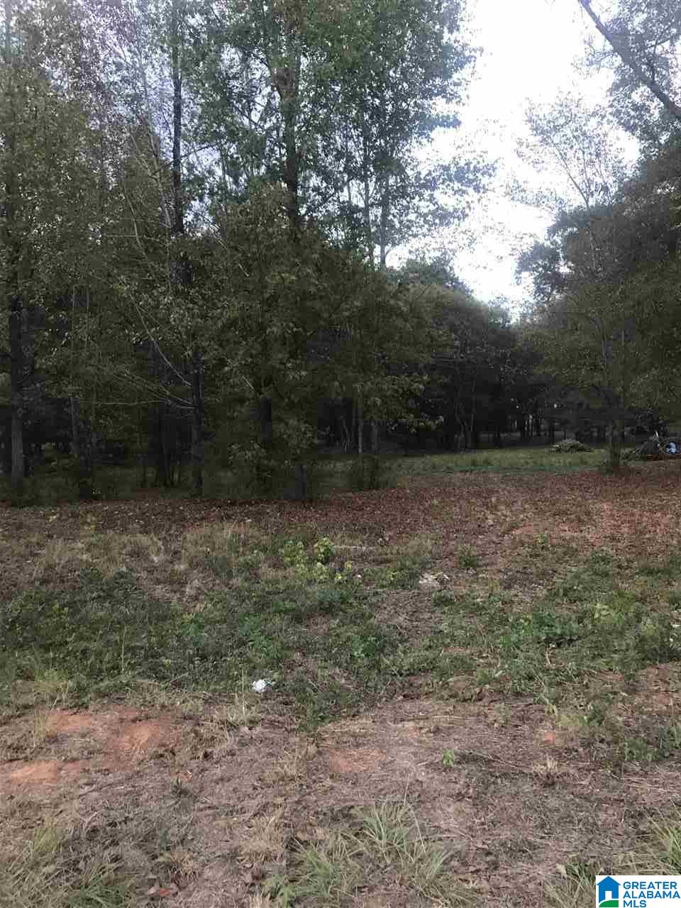 132 Farmstead Road, Unit 99A Wilsonville, AL 35186 - Photo 3 of 3