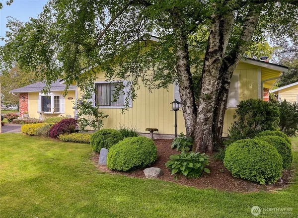 a view of a house with a backyard