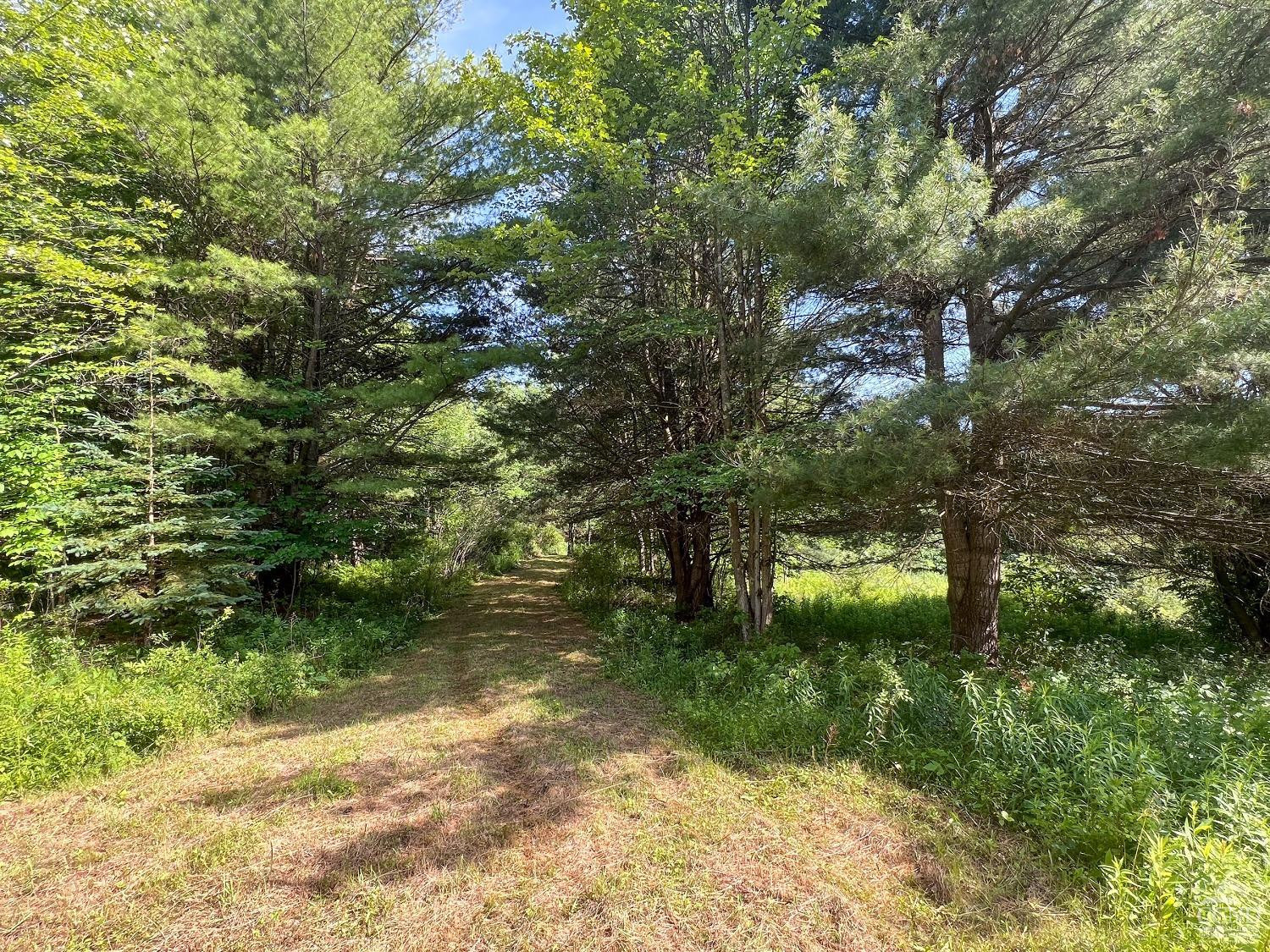 0 Scotch Hill Road Bloomville, NY 13739 - Photo 12 of 40 a view of lake