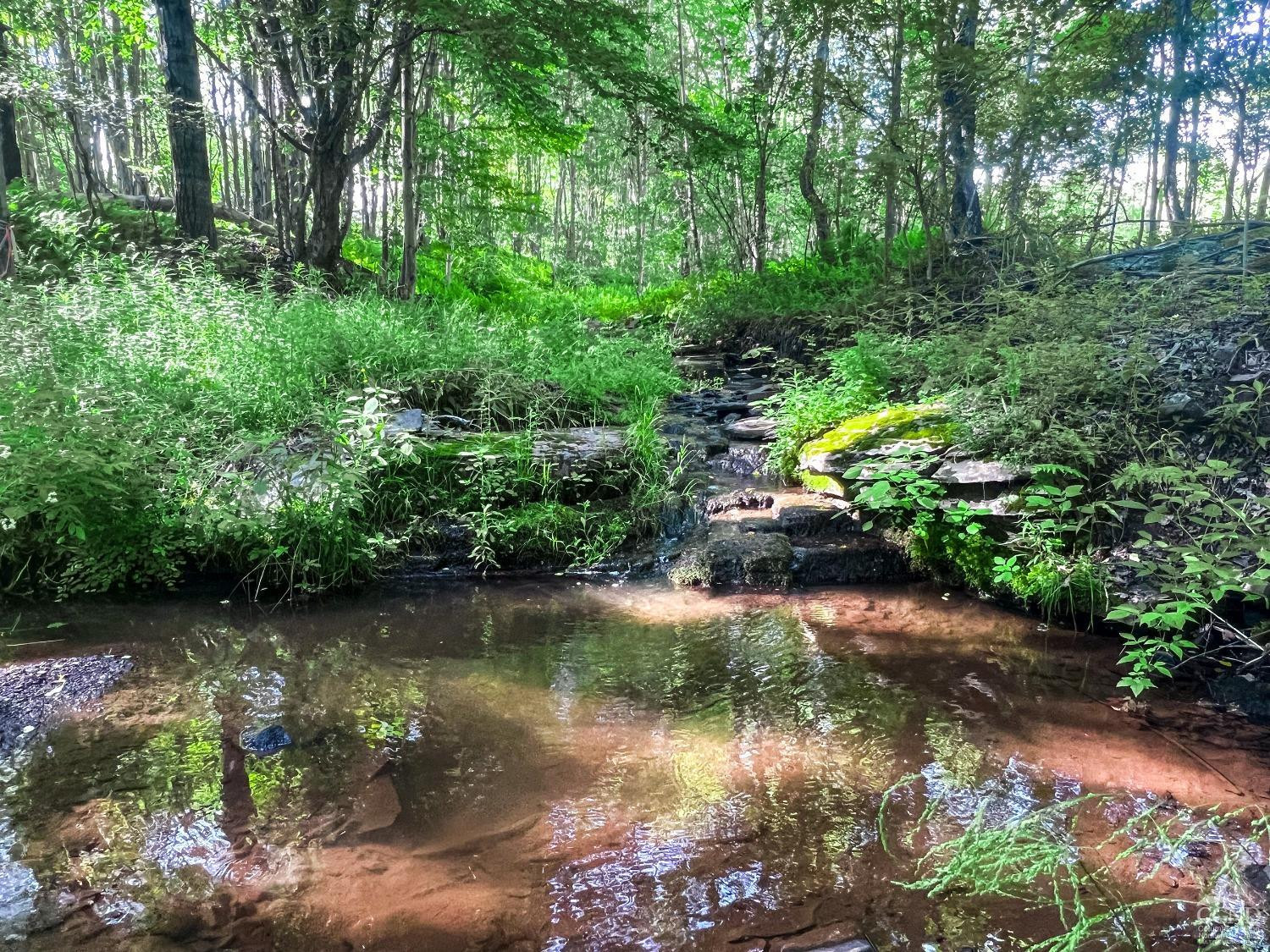 0 Scotch Hill Road Bloomville, NY 13739 - Photo 20 of 40 a view of a lake with a yard and potted plants