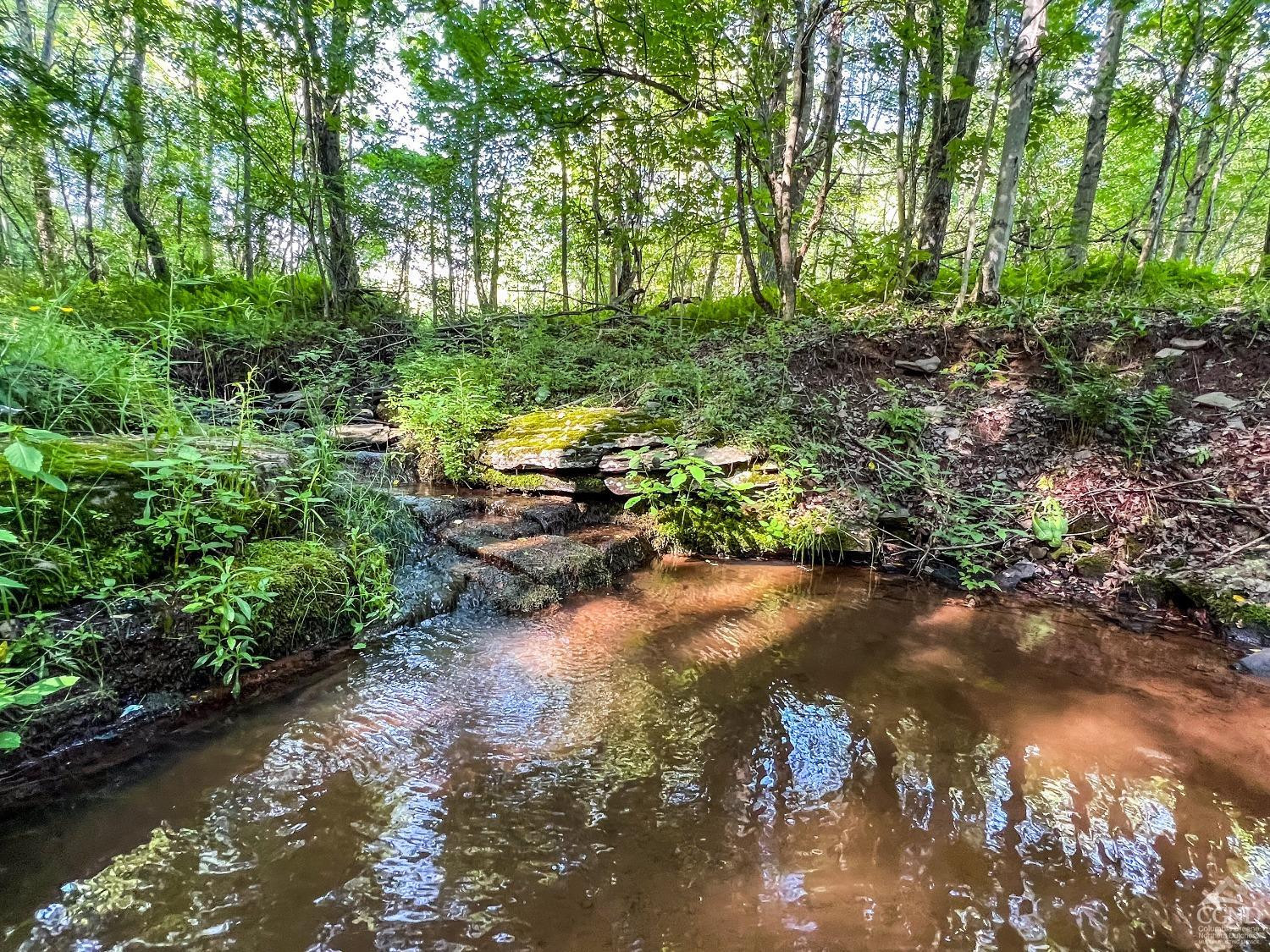 0 Scotch Hill Road Bloomville, NY 13739 - Photo 22 of 40 a view of a lake with lots of trees