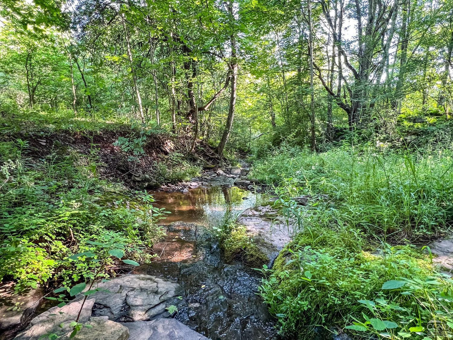 0 Scotch Hill Road Bloomville, NY 13739 - Photo 24 of 40 a view of a lake with lots of trees