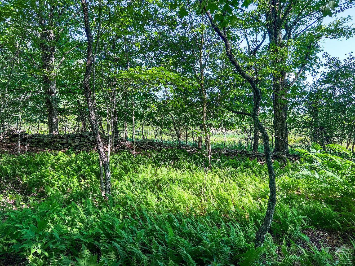 0 Scotch Hill Road Bloomville, NY 13739 - Photo 30 of 40 a view of lots of trees