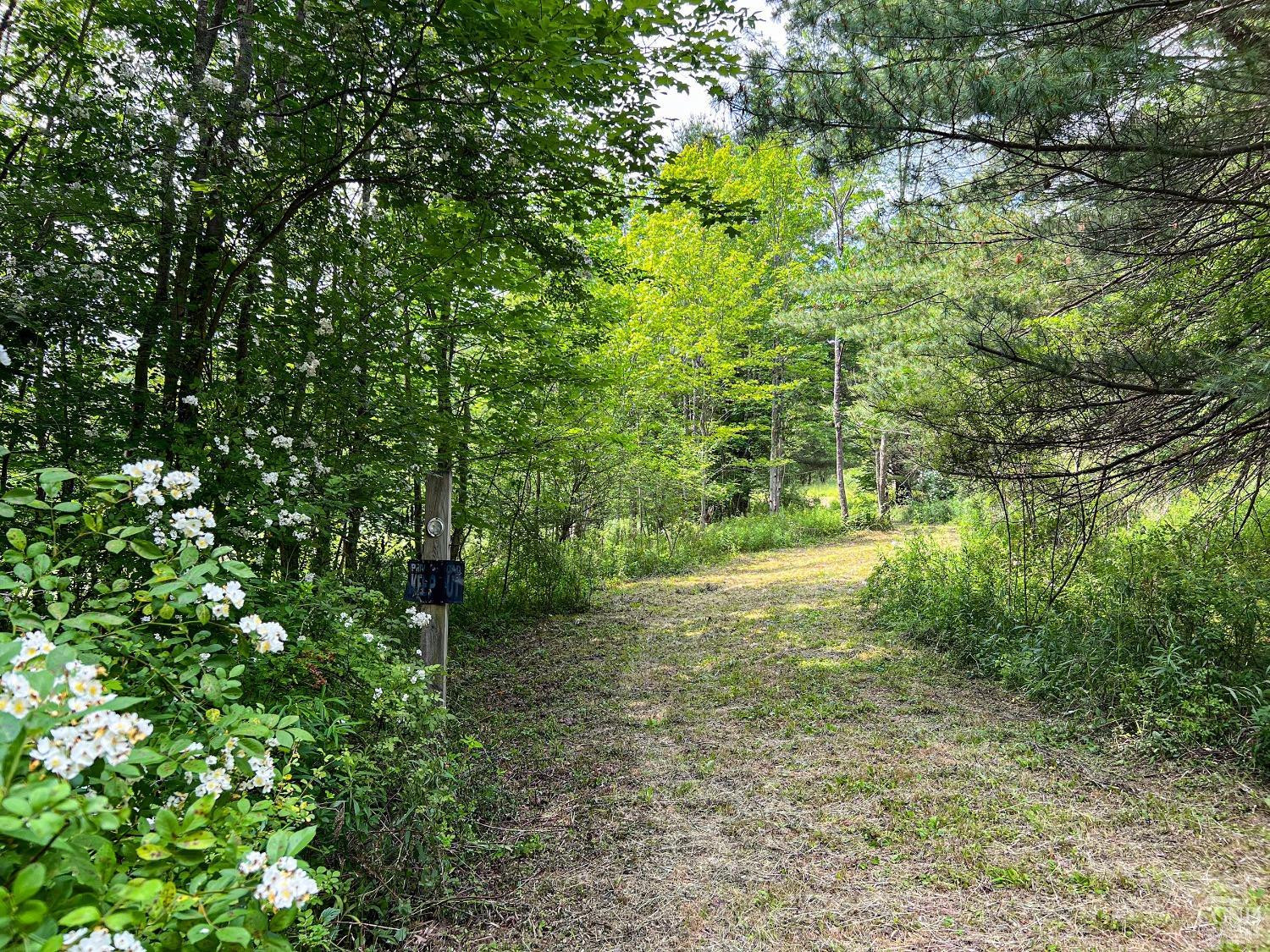 0 Scotch Hill Road Bloomville, NY 13739 - Photo 3 of 40 a view of a yard with a tree