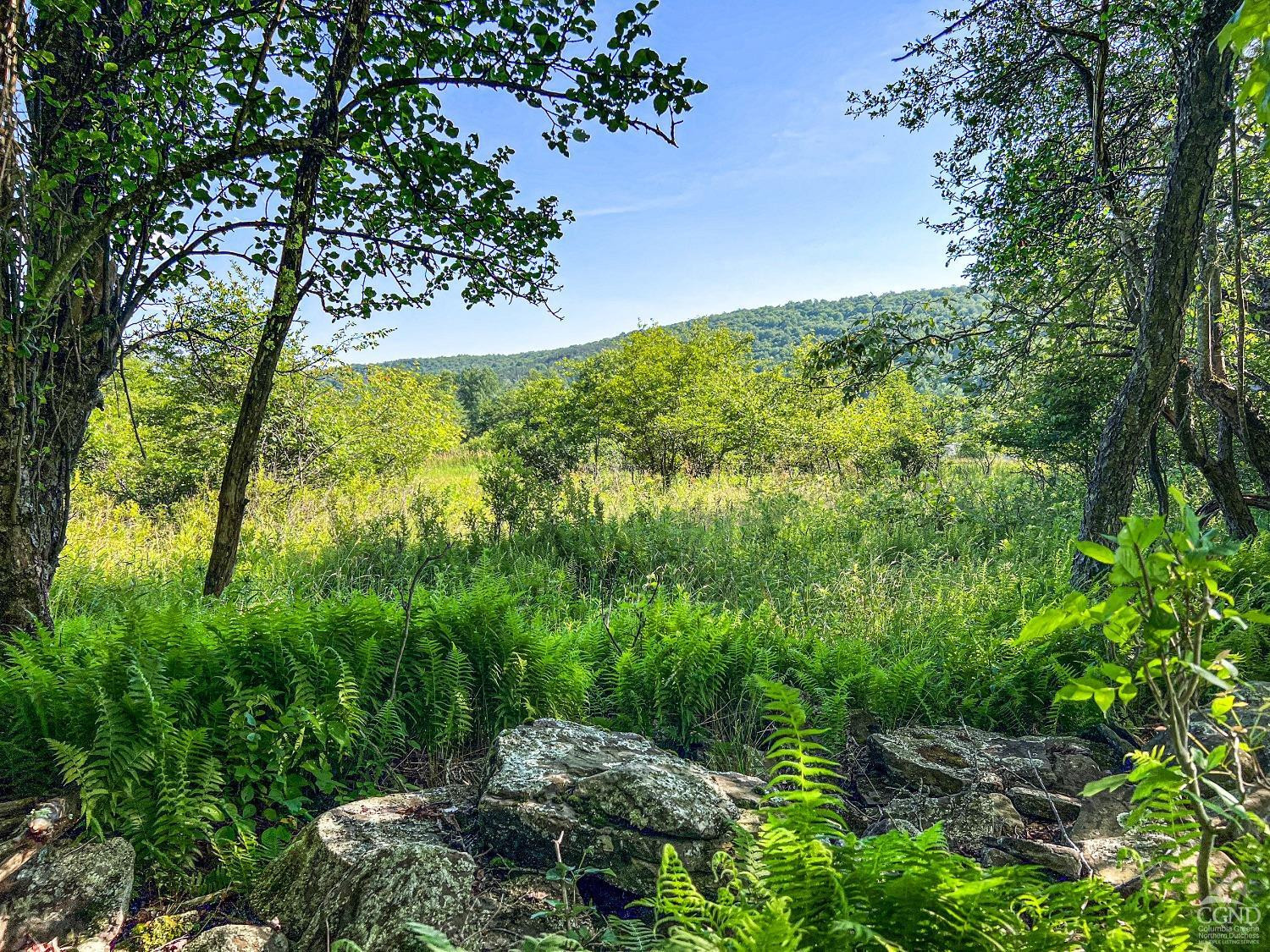 0 Scotch Hill Road Bloomville, NY 13739 - Photo 31 of 40 a view of a garden