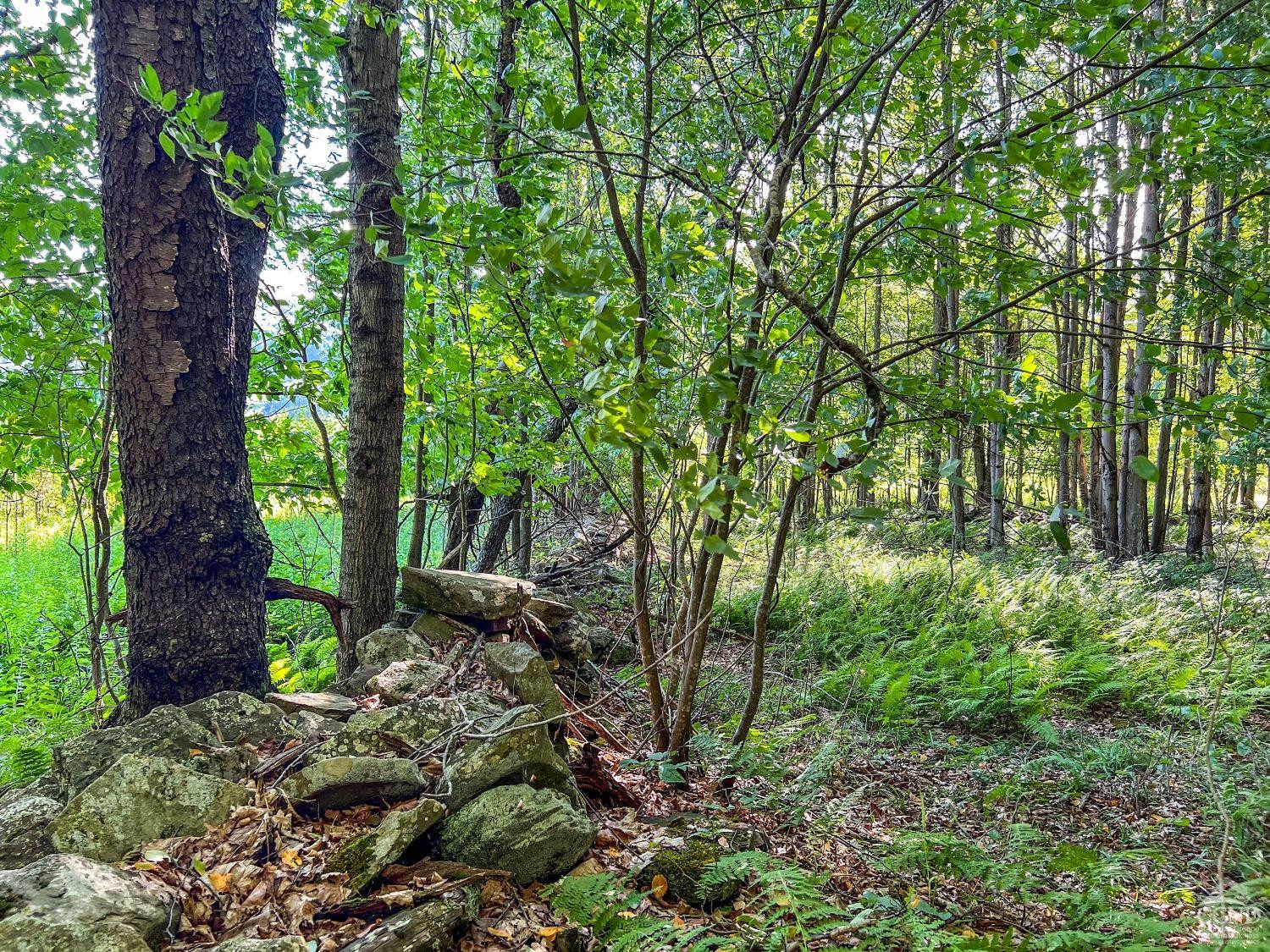 0 Scotch Hill Road Bloomville, NY 13739 - Photo 32 of 40 a view of outdoor space and green space