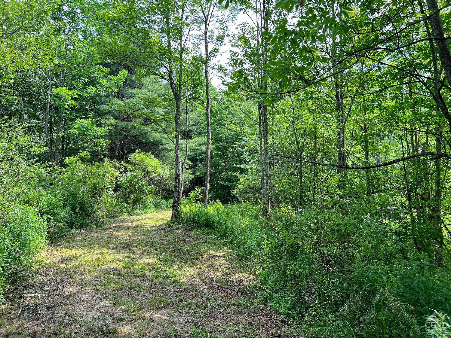 0 Scotch Hill Road Bloomville, NY 13739 - Photo 38 of 40 a view of outdoor space and green space