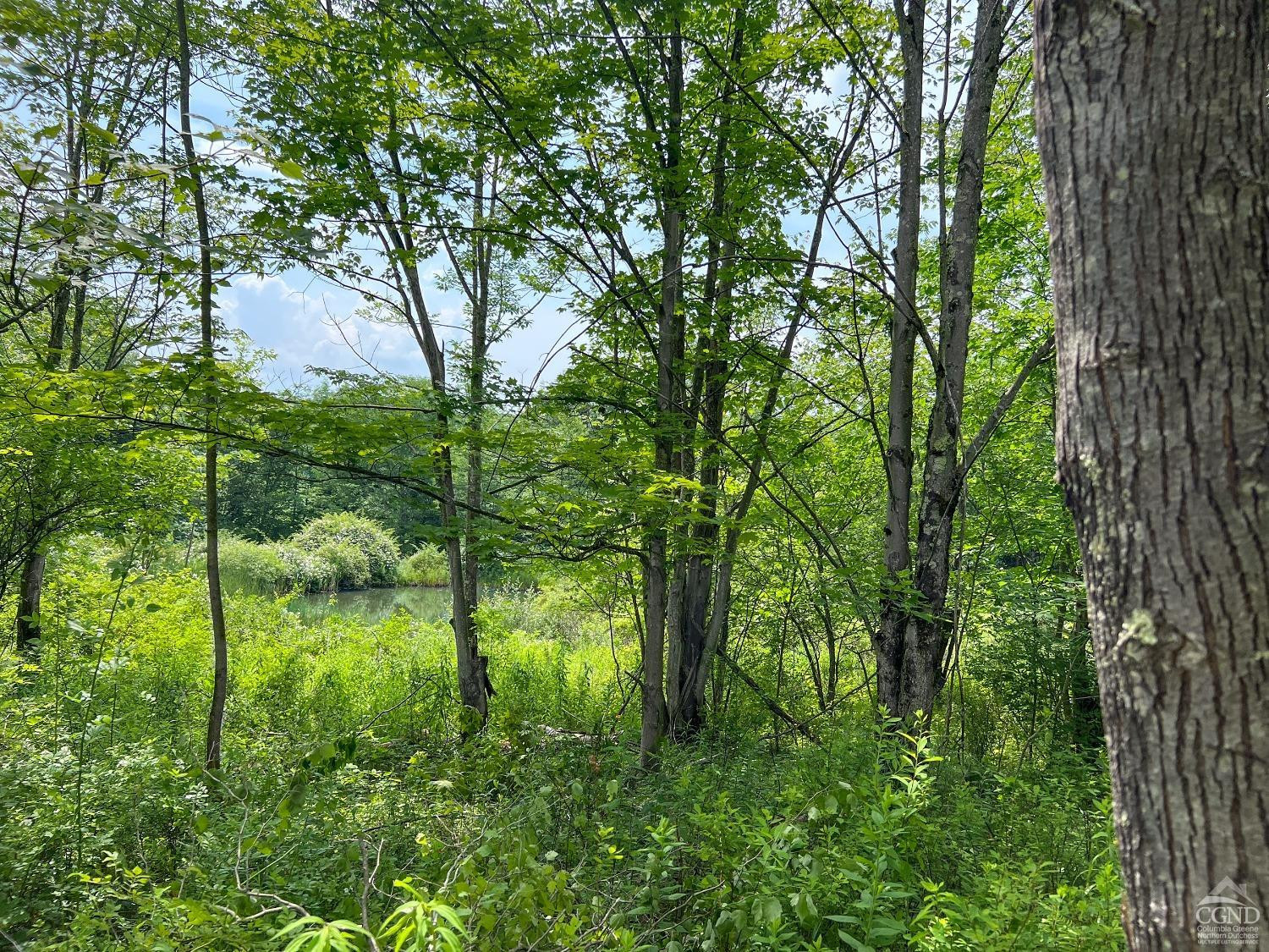 0 Scotch Hill Road Bloomville, NY 13739 - Photo 7 of 40 a view of backyard with green space