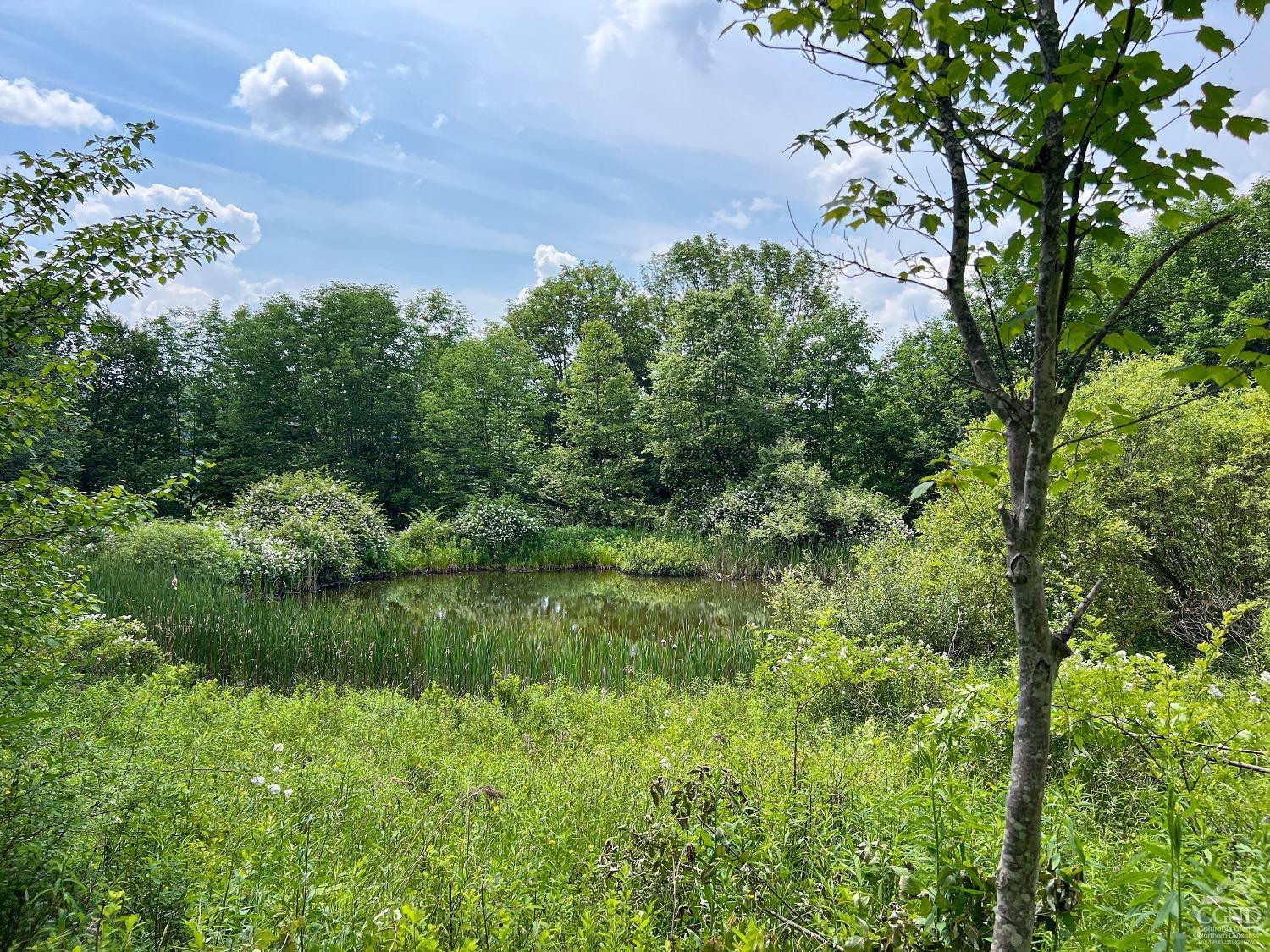 0 Scotch Hill Road Bloomville, NY 13739 - Photo 8 of 40 a view of a garden