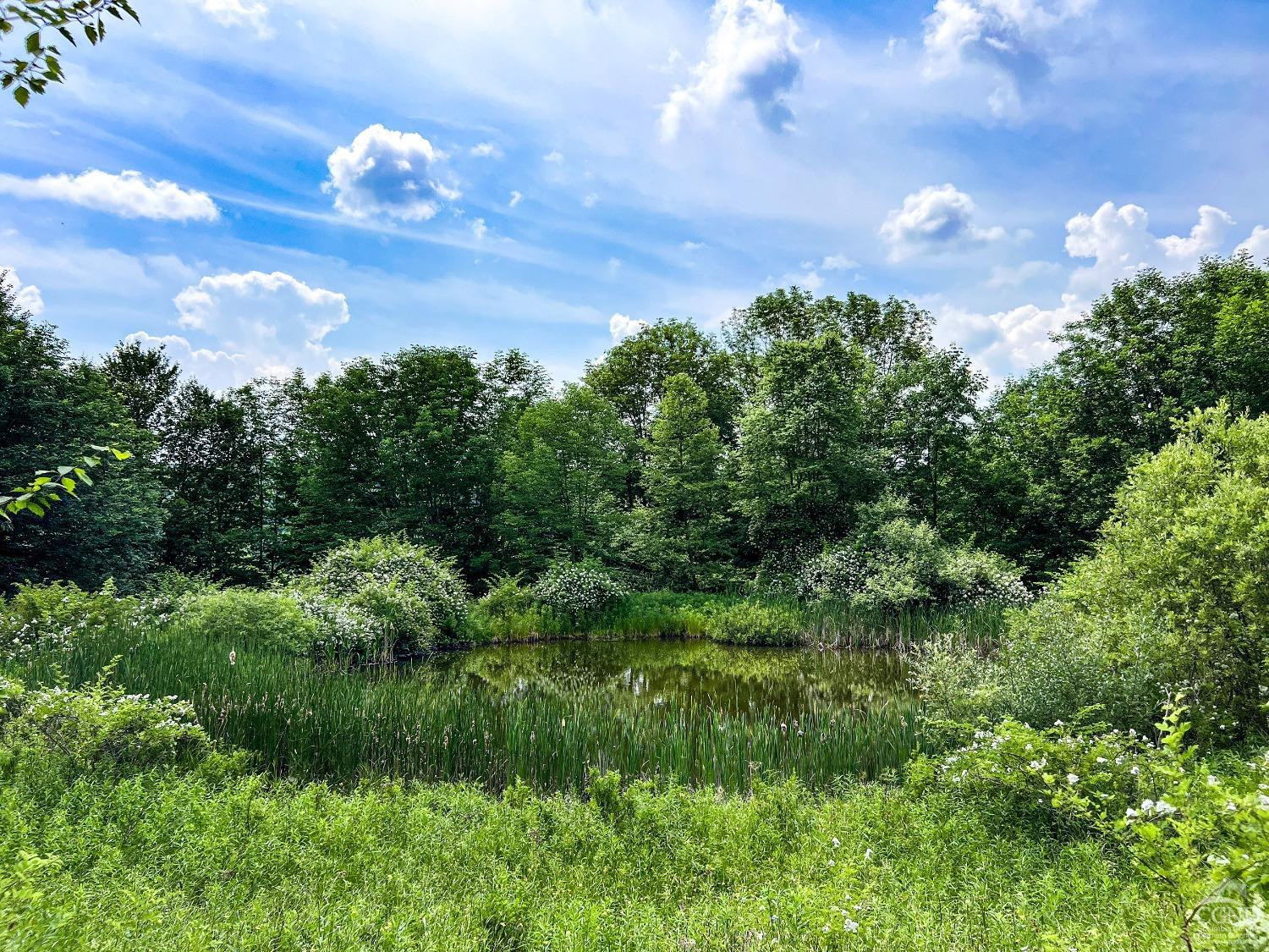 0 Scotch Hill Road Bloomville, NY 13739 - Photo 9 of 40 a view of a green yard