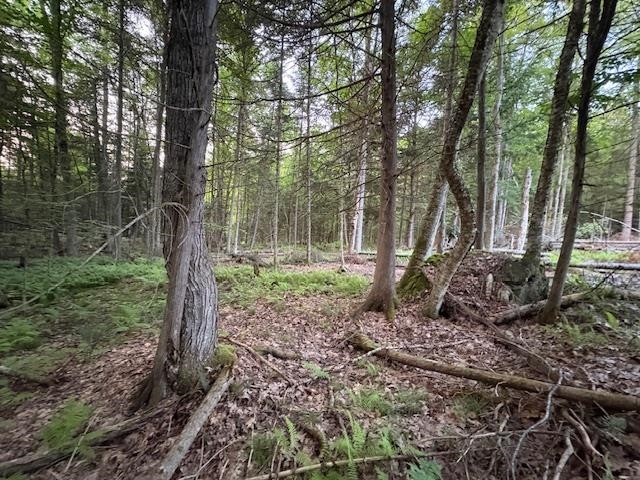 95 Langway Road Lyman, NH 03585 - Photo 2 of 12