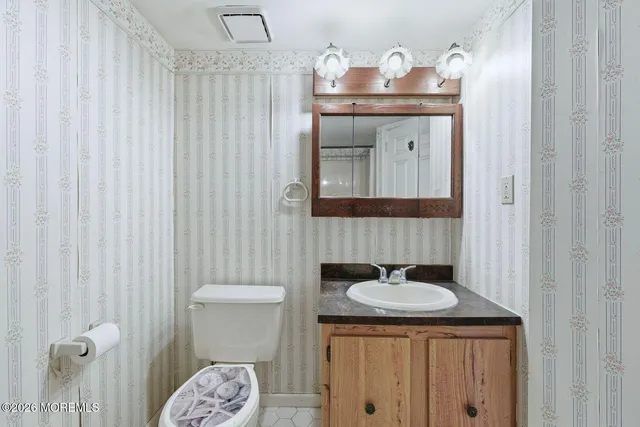 a bathroom with a sink a toilet and a mirror