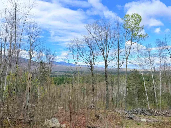 $498,000 | 0 Route 3 North Carroll Nh 03595, Unit 43 & 46, Whitefield, NH 03598
