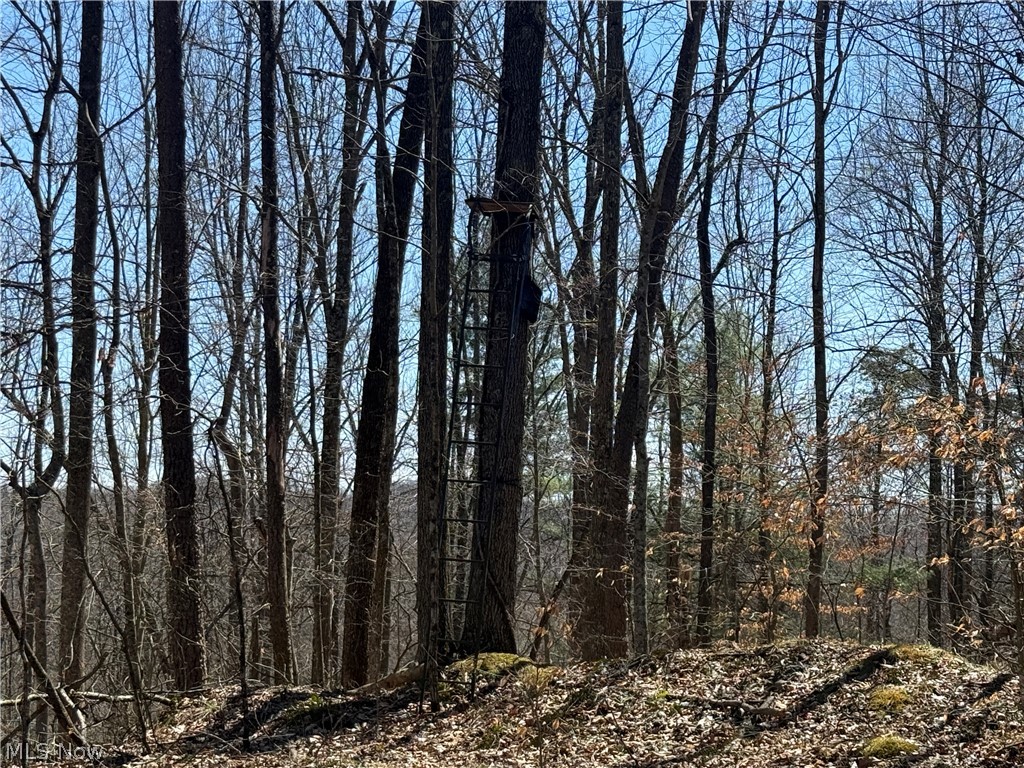 1137 Cain Road Big Bend, WV 26136 - Photo 21 of 31
