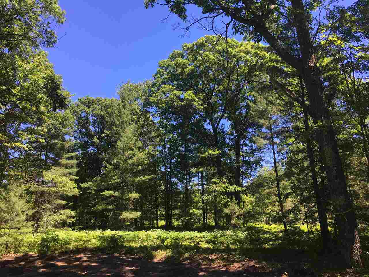 Lot 19 Supply Road Traverse City, MI 49696 - Photo 1 of 5 1881698.JPG