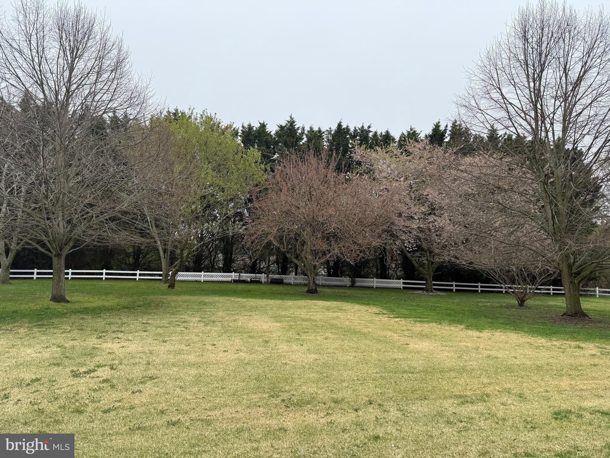 6531 Cabin Ridge Road Hurlock, MD 21643 - Photo 13 of 16