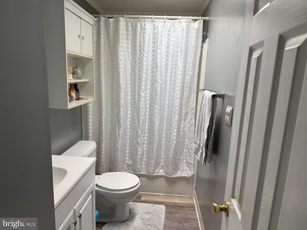 a white toilet sitting next to a shower curtain