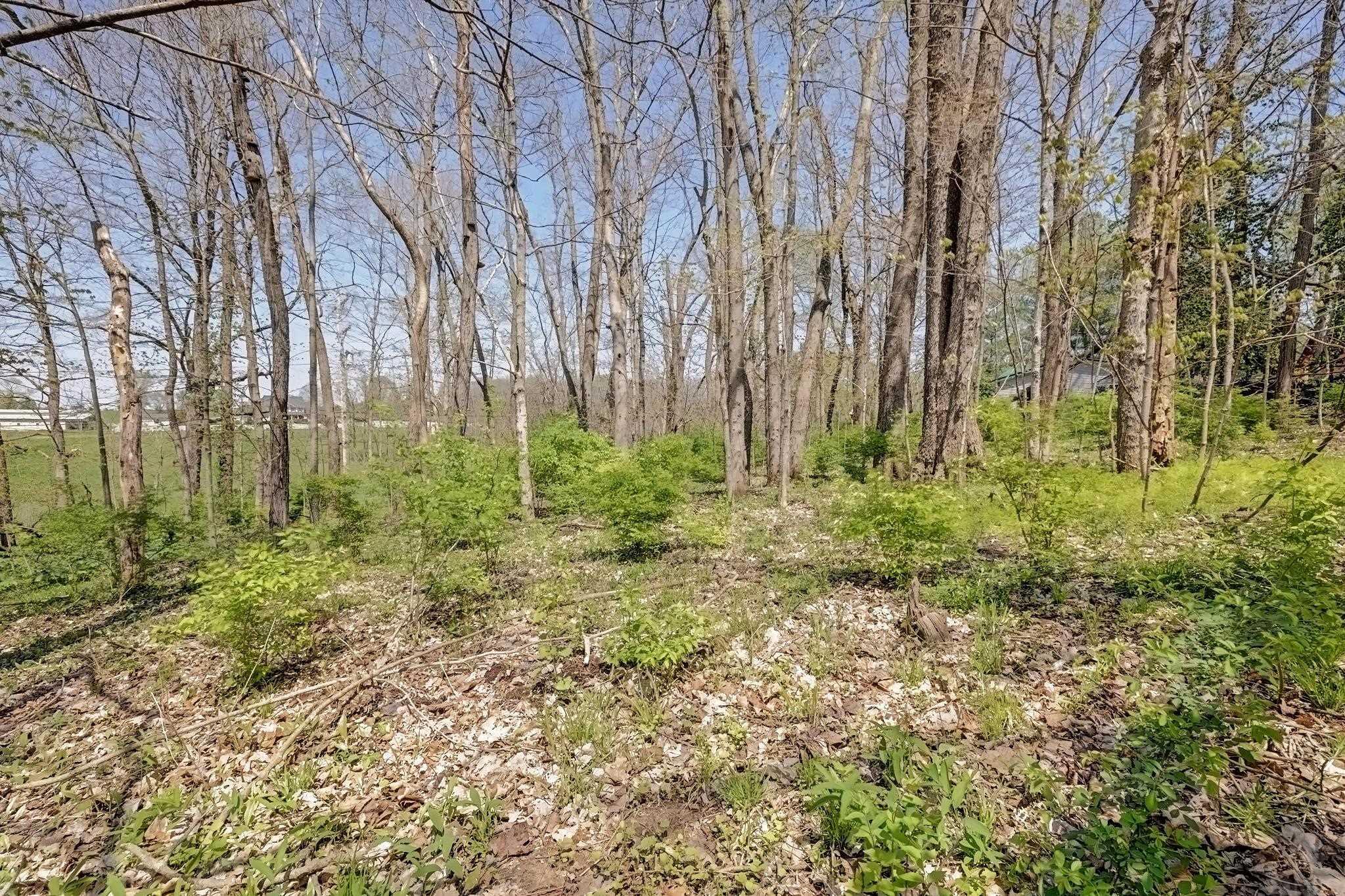 426 East Dillman Road Bloomington, IN 47401 - Photo 28 of 36 Gallery Image 28
