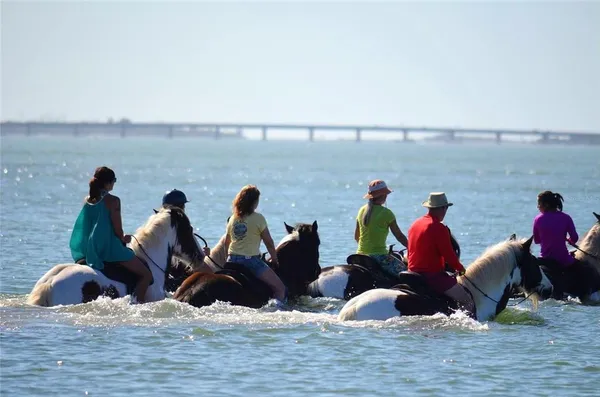 $640,000 | 3608 54th Drive West, Unit 202, Bradenton, FL 34210