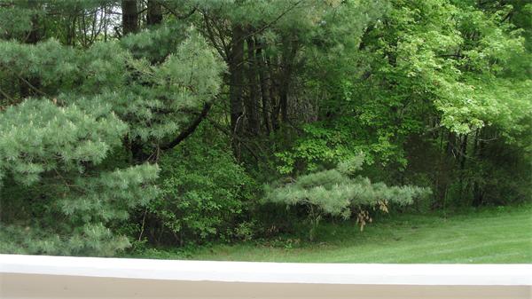 367 Conant Road Weston, MA 02493 - Photo 19 of 22 a view of a grassy area
