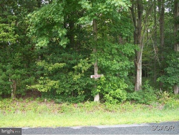 Simpler Branch Road Georgetown, DE 19947 - Photo 2 of 2 Gallery Image 2