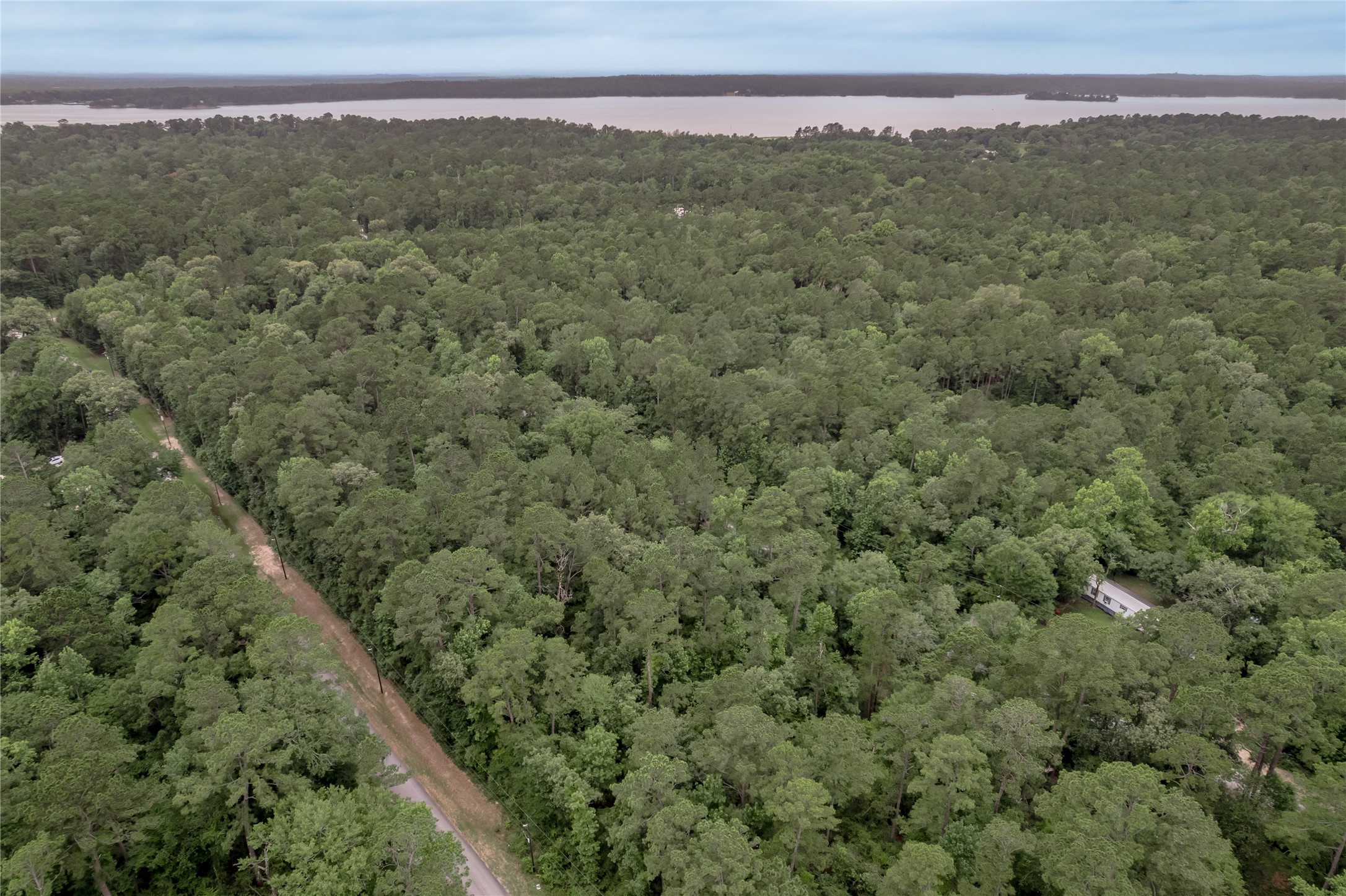 Lot 07 Oak Drive Trinity, TX 75862 - Photo 17 of 36