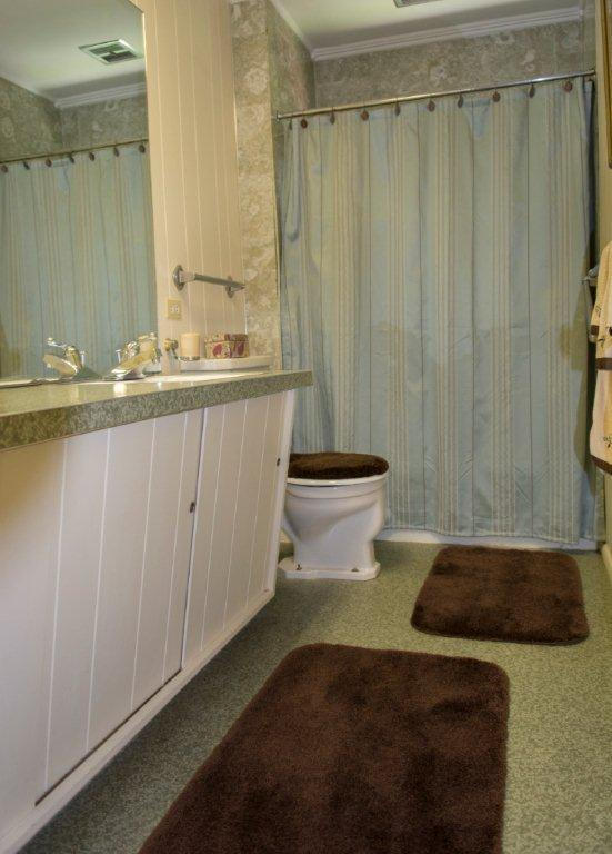 103 Disston Road Oak Ridge, TN 37830 - Photo 14 of 24 14 guest bathroom 2