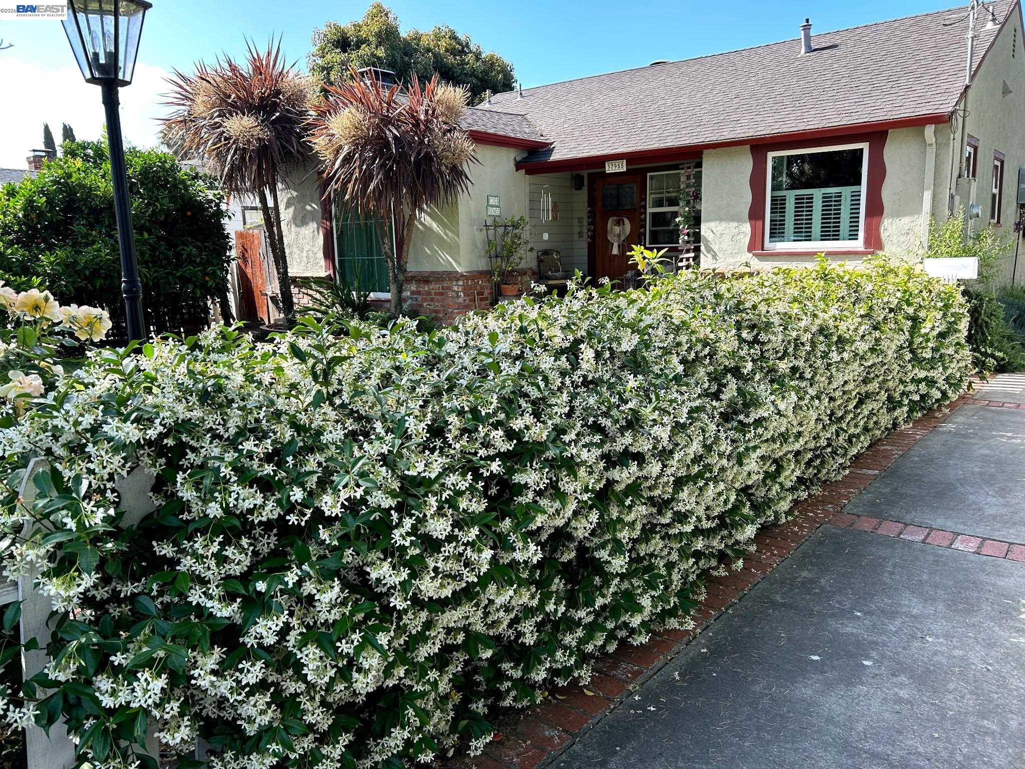 37955 2nd Street Fremont, CA 94536 - Photo 6 of 57