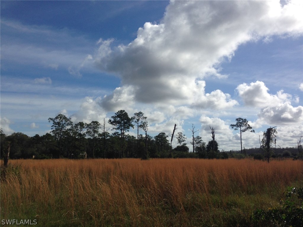 13951 Rod And Gun Club Road, Unit 61 Fort Myers, FL 33913 - Photo 1 of 20 Gallery Image 1
