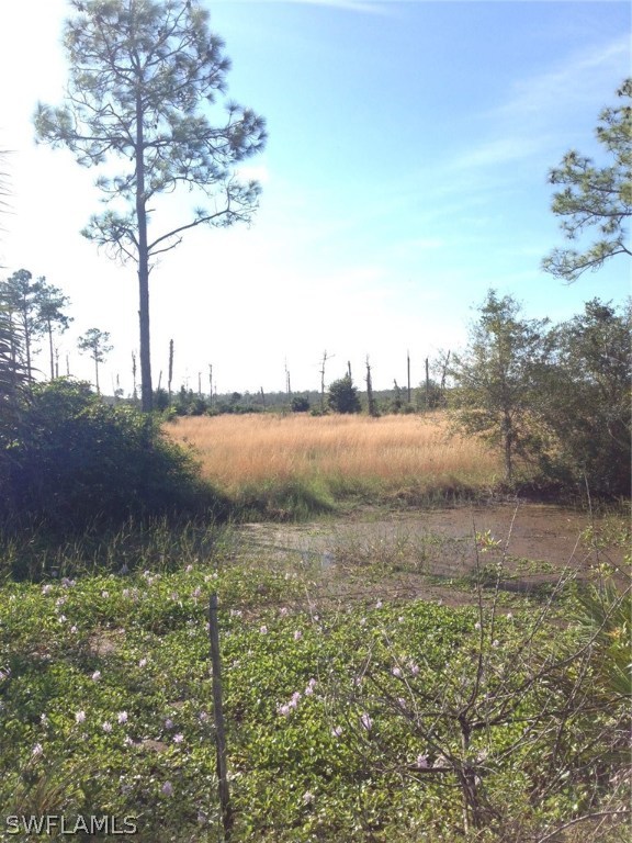 13951 Rod And Gun Club Road, Unit 61 Fort Myers, FL 33913 - Photo 2 of 20 Gallery Image 2