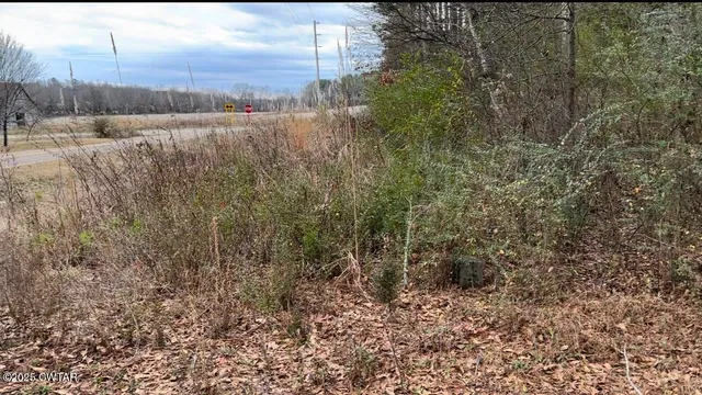 $9,950 | Lot 22-26 Oak View Drive, Adamsville, TN 38310