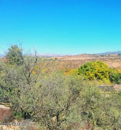 a view of a field with an ocean