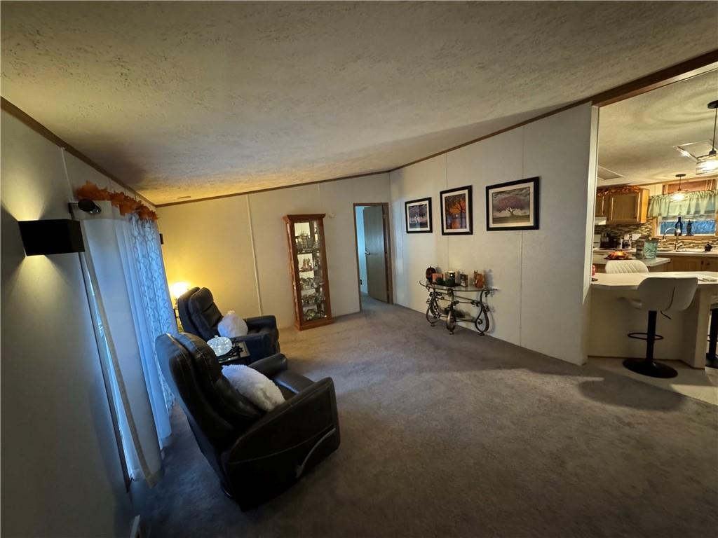 505 Amy Lane Rochester, PA 15074 - Photo 19 of 22 a living room with furniture and a window