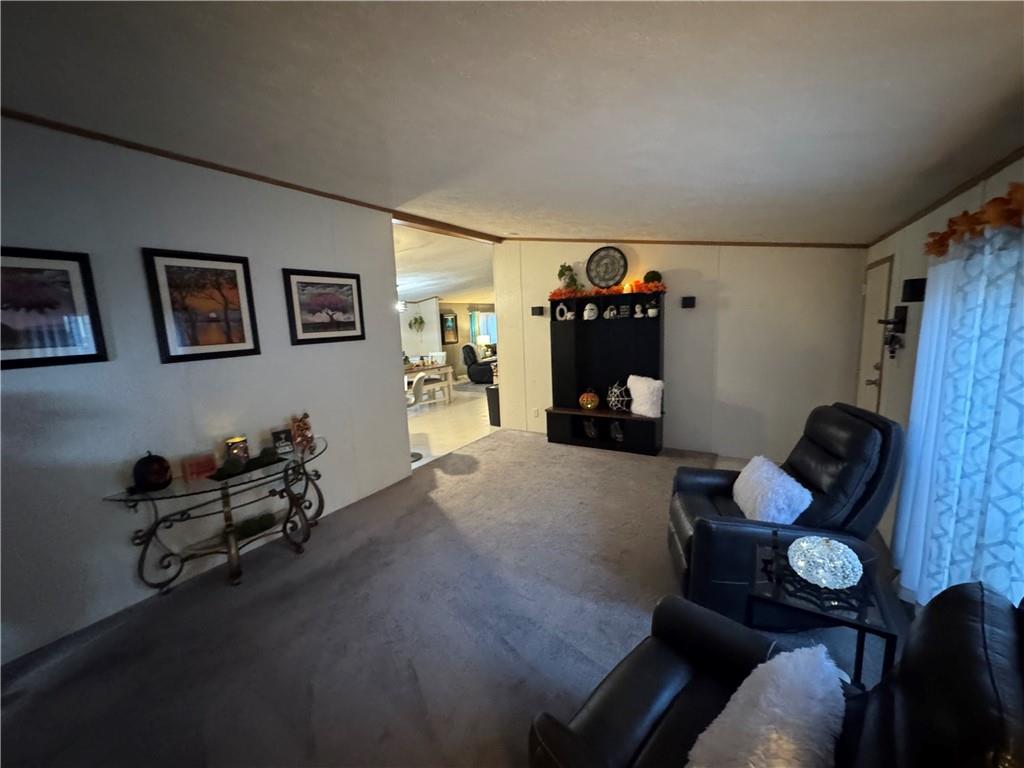505 Amy Lane Rochester, PA 15074 - Photo 20 of 22 a living room with furniture rug and a window