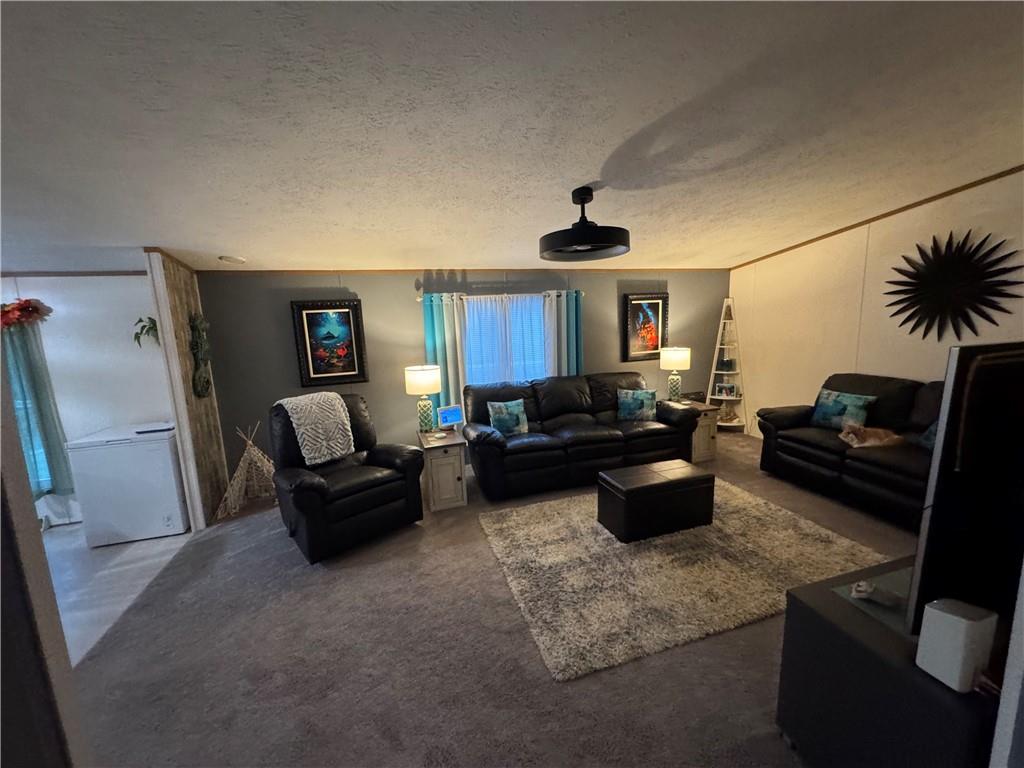 505 Amy Lane Rochester, PA 15074 - Photo 21 of 22 a living room with furniture and a fireplace