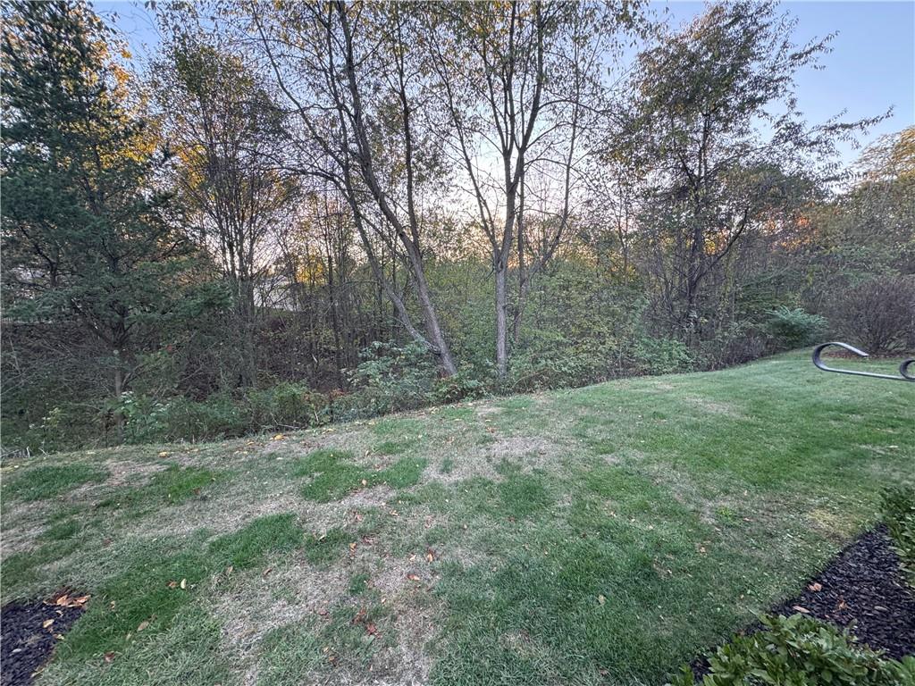 505 Amy Lane Rochester, PA 15074 - Photo 7 of 22 a view of a yard with a tree