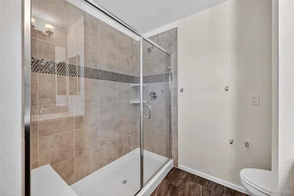 a bathroom with a shower and toilet