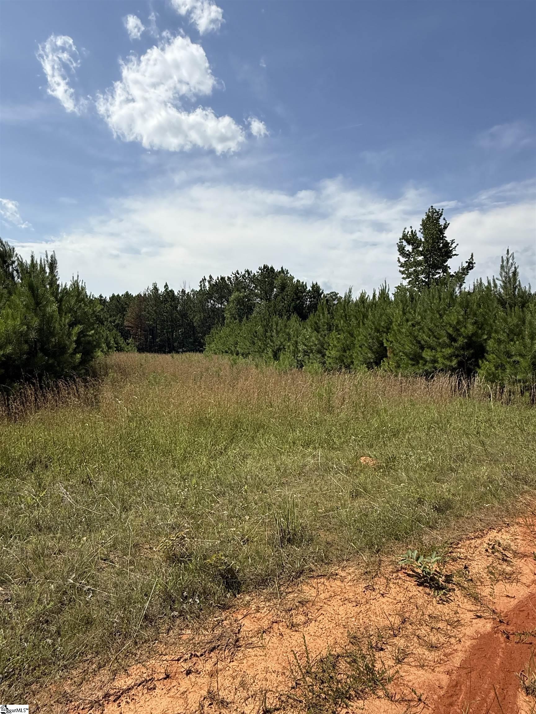 0 Walker Road Edgefield, SC 29824 - Photo 14 of 19 Gallery Image 14