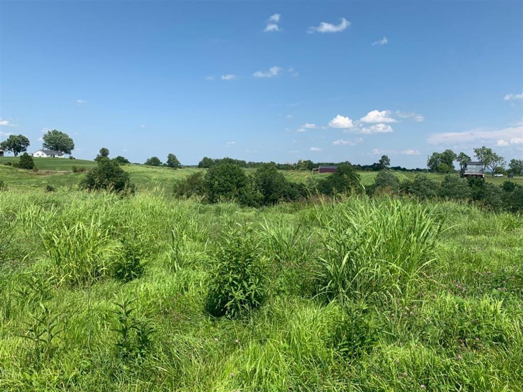 4054 Broaddus Branch Road Paint Lick, KY 40461 - Photo 58 of 64 Photo 58