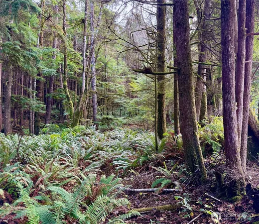 $55,000 | 0 Copalis Beach Road, Copalis Beach, WA 98535