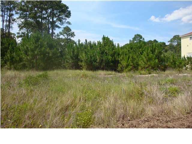 2181 Redfish Street Carrabelle, FL 32322 - Photo 4 of 10