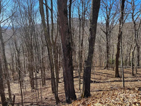 a view of outdoor space with wooden fence