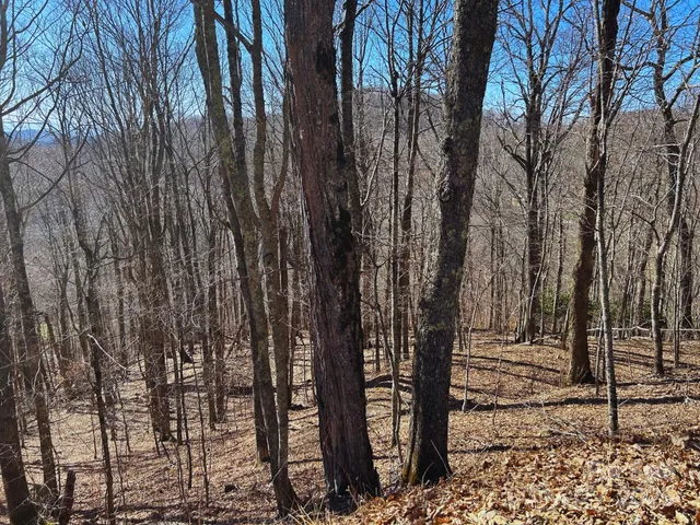 a view of outdoor space with wooden fence